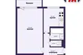 1 room apartment 32 m² Salihorsk, Belarus