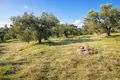 Land 8 500 m² Neos Marmaras, Greece