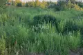 Grundstück 1 600 m² Bezvodnoe, Russland