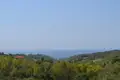 Land 1 room 7 000 m² Agia Paraskefi, Greece