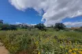 Land  Likotinerea, Greece
