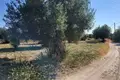 Działki 1 pokój  Skala Fourkas, Grecja