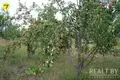 House 40 m² Damasycy, Belarus