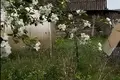 Maison  Dukorski sielski Saviet, Bélarus