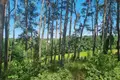 Atterrir 510 m² Czerwonak, Pologne