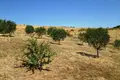 Земельные участки 1 комната  Айос-Николаос, Греция
