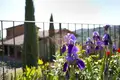 Commercial property 7 700 m² in Arezzo, Italy