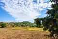Parcelas 6 000 m² Kassandrino, Grecia