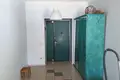 Haus 376 m² Bialarucki sielski Saviet, Belarus