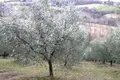 Atterrir 11 chambres 180 000 m² Terni, Italie