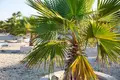 3 bedroom apartment 108 m² Croatia, Croatia