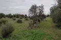 Земельные участки 1 комната  Созополи, Греция