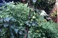 4 room house 200 m² Odesa, Ukraine