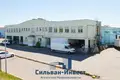 Офис 2 695 м² Хатежинский сельский Совет, Беларусь