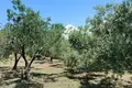 Willa 4 pokoi 240 m² Opcina Medulin, Chorwacja