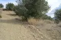 Atterrir 15 000 m² Nauplie, Grèce