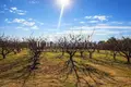 Parcelas 5 400 m² Nea Plagia, Grecia