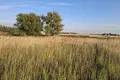 Mieszkanie 6 583 m² Kopanina, Polska