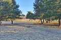2 bedroom house 24 300 000 m² Skarbka, Poland
