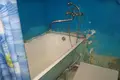 Wohnung 2 zimmer 48 m² Navakolasava, Belarus