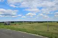 Parcelas 1 000 m² Lubiatowo, Polonia