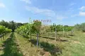 Propiedad comercial 613 m² en Grassina, Italia
