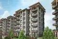 Appartement 1 chambre 333 m² Basaksehir, Turquie