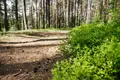 Hüttendorf Ucastki v Grecuhino