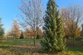 Land 1 room 2 841 m² Warsaw, Poland