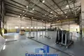 Producción 9 483 m² en Minsk, Belarús