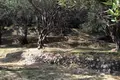 Land 1 room  Agii Deka, Greece