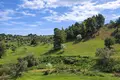 Land 5 237 m² Kassandrino, Greece