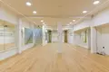 Commercial property 219 m² in City of Zagreb, Croatia