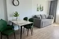 Квартира 1 спальня 46 м², Черногория