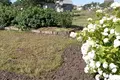 Land  Zarecca, Belarus