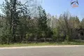 Grundstück  Pratasievicki sielski Saviet, Belarus