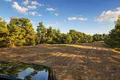 Atterrir 24 000 m² Kassandrino, Grèce