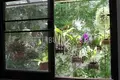 Villa 350 m² Rawai, Thaïlande