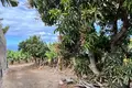 Parcelas  Canarias, Španjolska