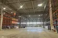 Коммерческое помещение 3 комнаты 6 000 м² в Grenes, Латвия