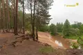 Haus 167 m² Rakauski sielski Saviet, Belarus