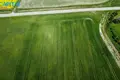 Земельные участки  Digriai, Литва