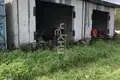 Willa 320 m² gorodskoj okrug Bor, Rosja