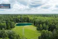Land  Sviloneliai, Lithuania
