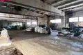 Nieruchomości komercyjne 1 709 m² Onikszty, Litwa