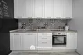 Квартира 1 комната 42 м² Копище, Беларусь