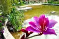 Ferienhaus 6 Schlafzimmer 2 500 m² Granadilla de Abona, Spanien