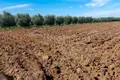 Land 4 296 m² Paralia Dionisiou, Greece