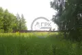Land  Nikonovskoye, Russia