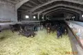 De inversiones 1 000 m² en Ayora, Španjolska